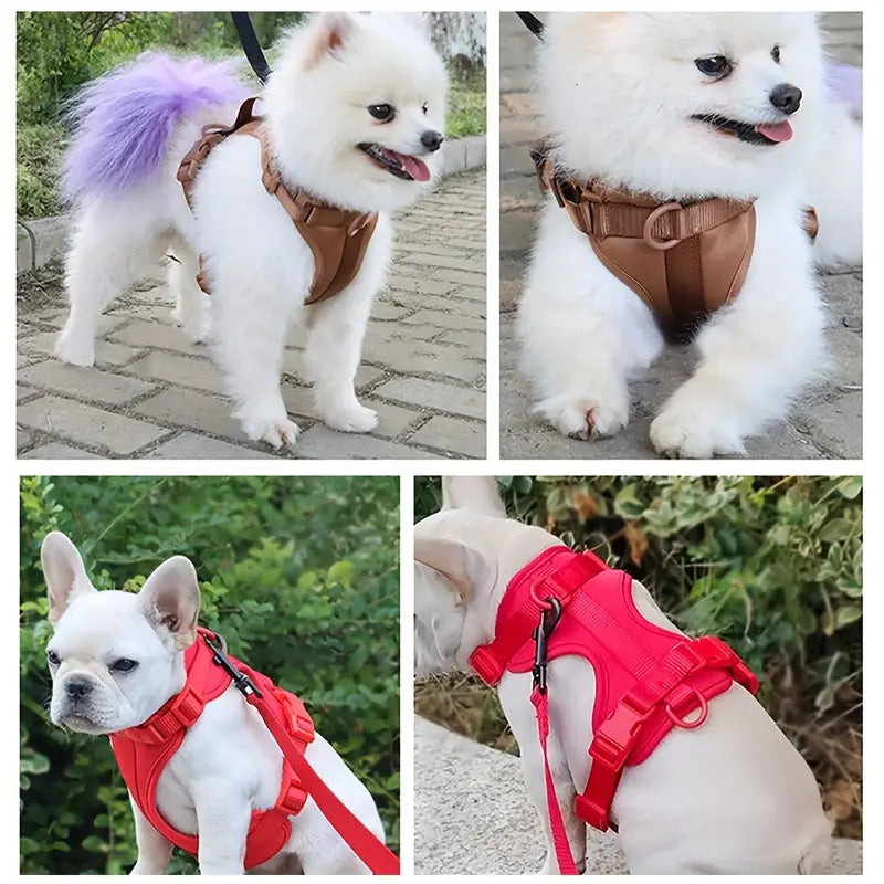 Macaron Color Dog Harness Set
